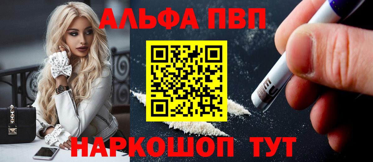 Alfa_PVP СК Сыктывкар