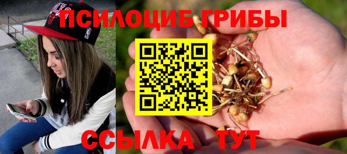 где купить наркоту  Галлюциногенные грибы Psilocybe  Галлюциногенные грибы мицелий  Вход с VPN  Сыктывкар 