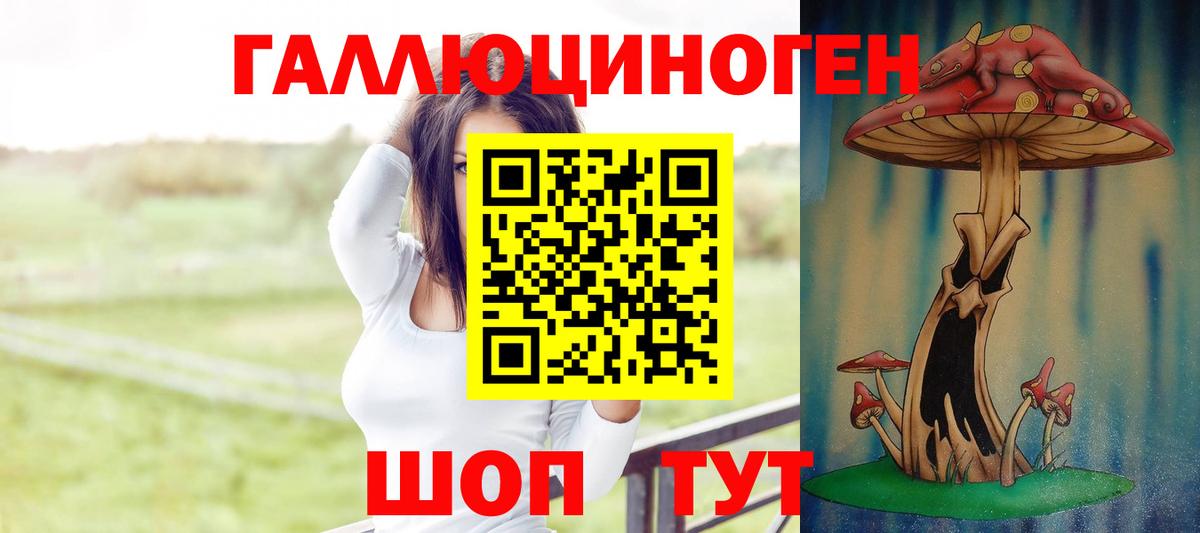 Псилоцибиновые грибы прущие грибы Сыктывкар